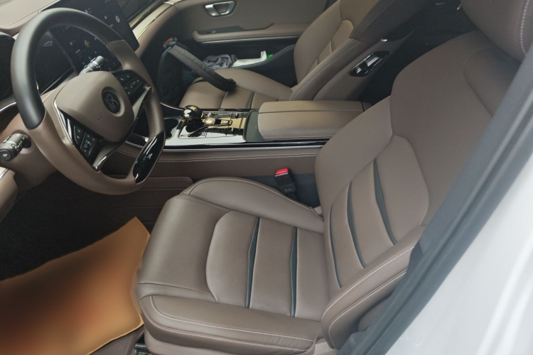 BYD Han 2021 car image #19