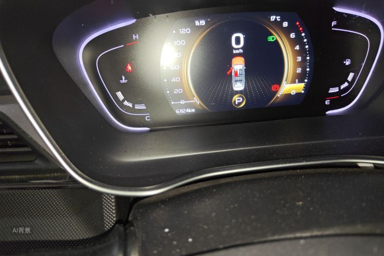 GEELY Binray 2021 imagen de coche #14