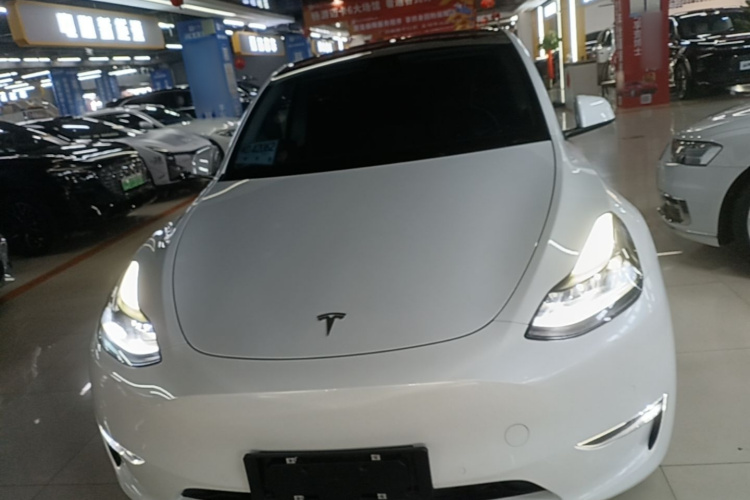 Tesla Model Y 2021 #3 Tesla Model Y 2021 car image #3