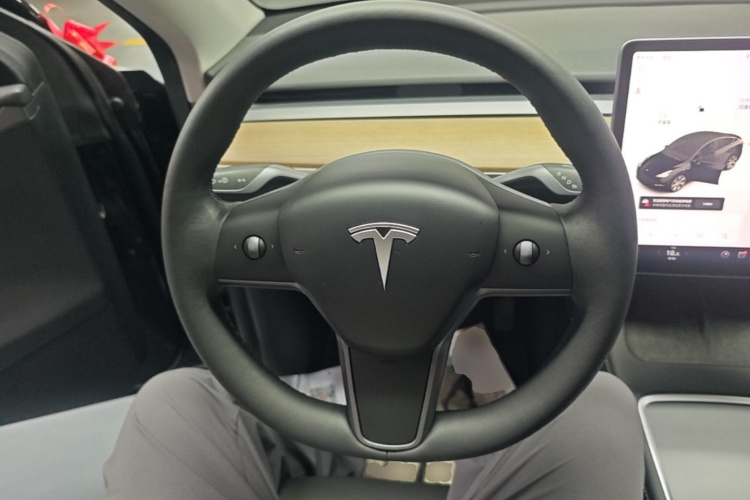 Tesla Model Y 2021 #11 Tesla Model Y 2021 car image #11