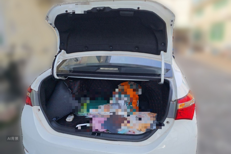 Toyota Corolla 2017 #21 Toyota Corolla 2017 car image #21