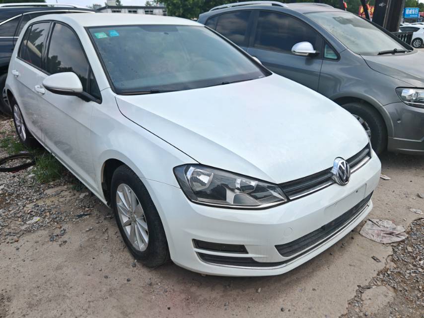 Volkswagen Golf 2015 Volkswagen Golf 2015 car image