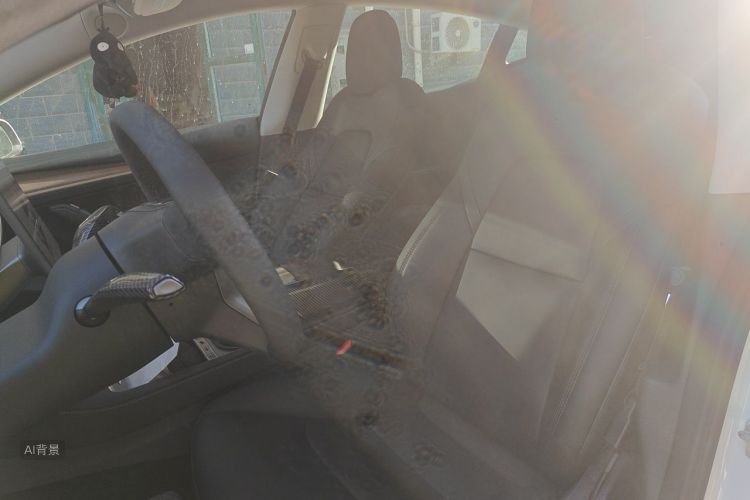 Tesla Model 3 2022 car image #17