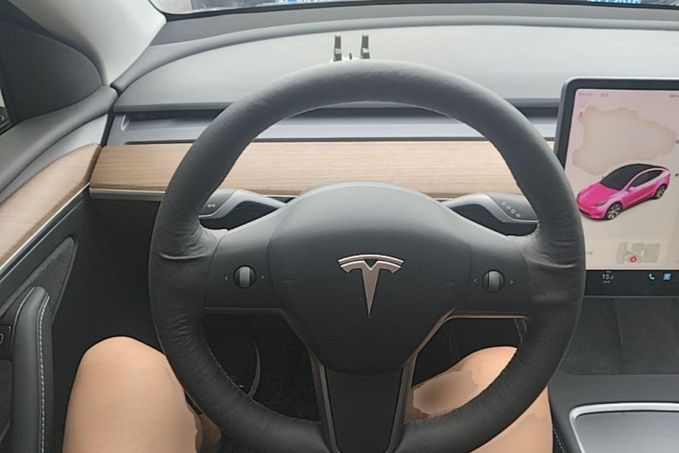 Tesla Model Y 2021 #11 Tesla Model Y 2021 car image #11