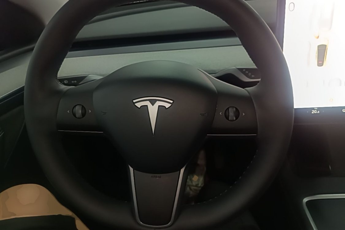 Tesla Model Y 2024 car image #16