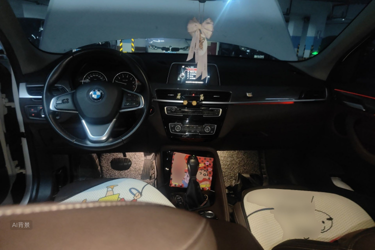 BMW X1 2017 imagen de coche #11