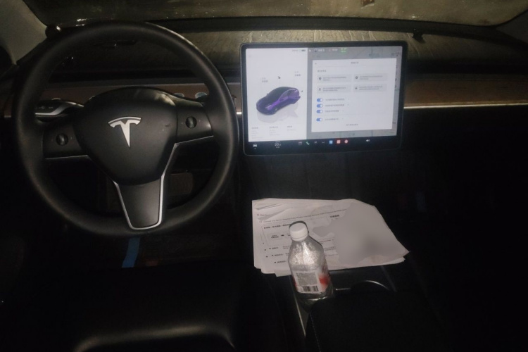 Tesla Model 3 2023 #7 Tesla Model 3 2023 car image #7