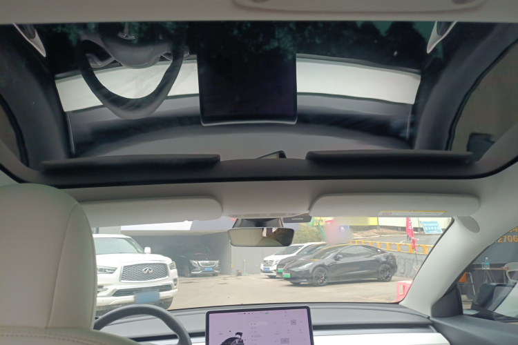 Tesla Model 3 2020 car image #20