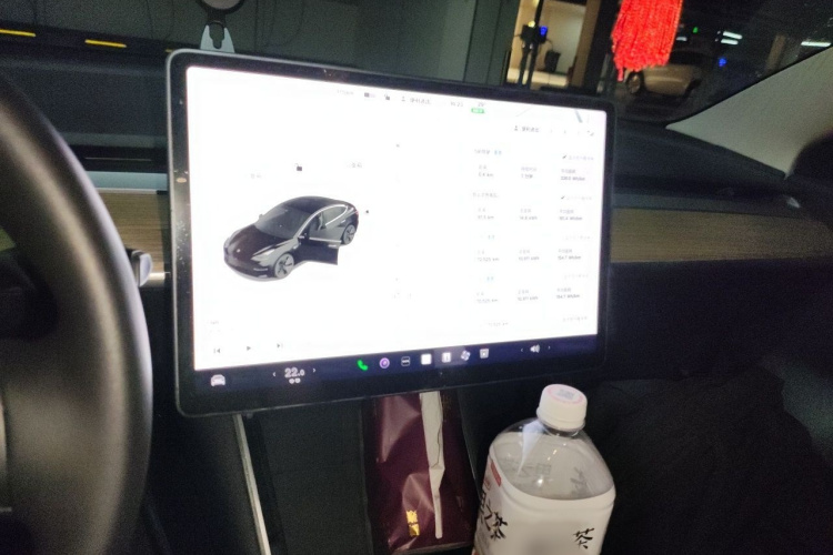 Tesla Model 3 2020 car image #17