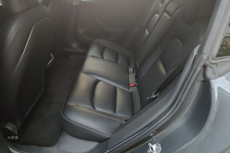 Tesla Model 3 2022 #19 Tesla Model 3 2022 صورة سيارة #19