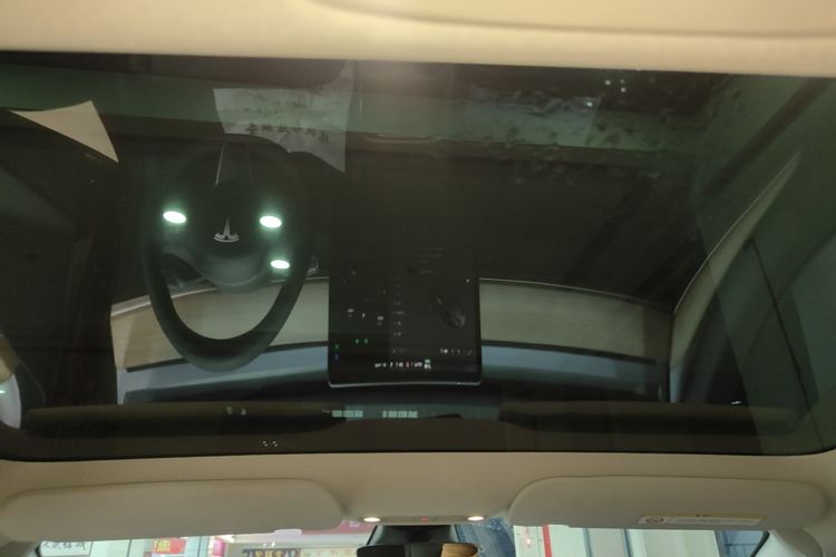 Tesla Model 3 2021 car image #18