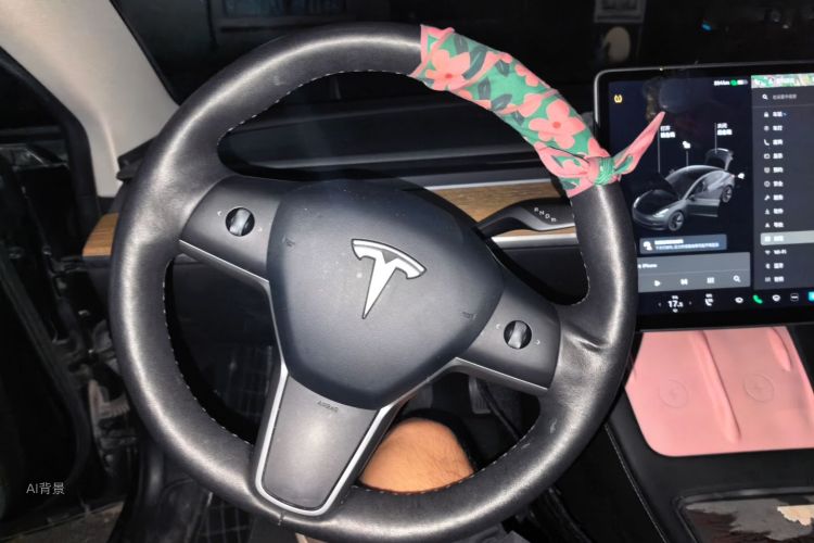 Tesla Model 3 2021 immagine di auto #13