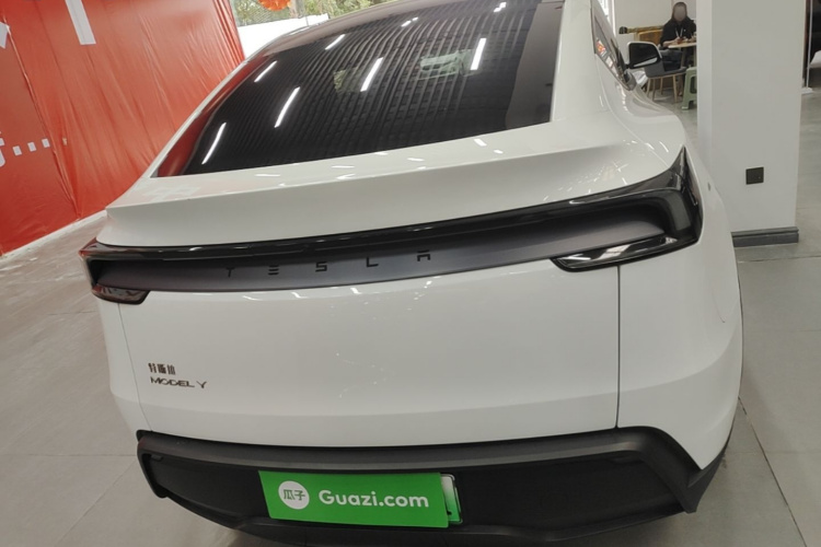 Tesla Model Y 2025 car image #6