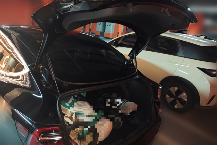 Tesla Model 3 2020 #17 Tesla Model 3 2020 car image #17