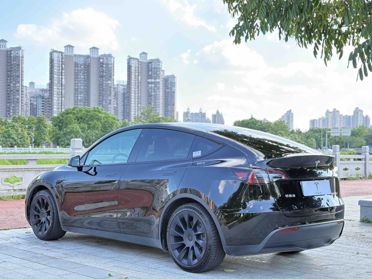 Tesla Model Y 2022 car image #7