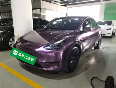 Tesla Model Y 2024 Tesla Model Y 2024 car image