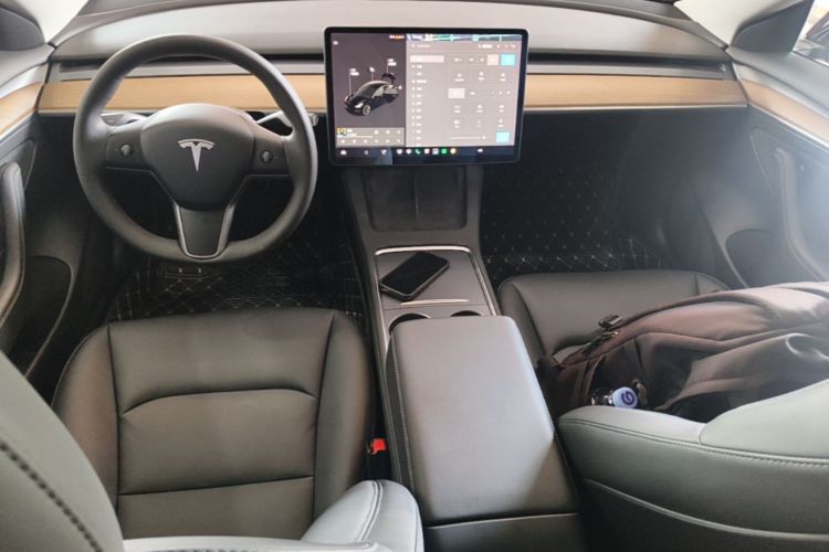 Tesla Model 3 2021 car image #10