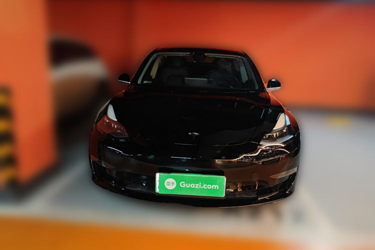 Tesla Model 3 2020 #3 Tesla Model 3 2020 car image #3
