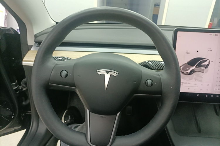 Tesla Model 3 2023 immagine di auto #11
