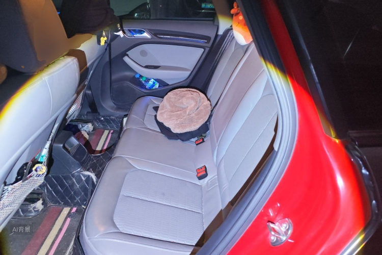 Audi A3 2018 car image #19