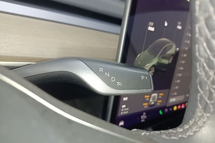 Tesla Model Y 2021 car image #14