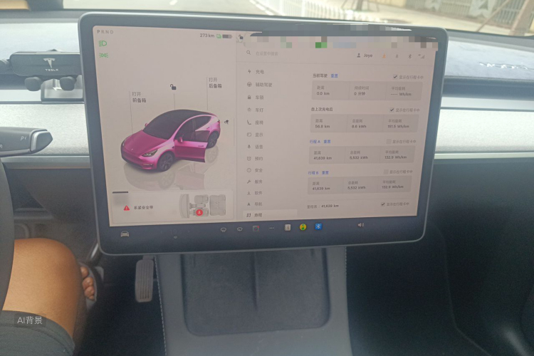 Tesla Model Y 2024 car image #13