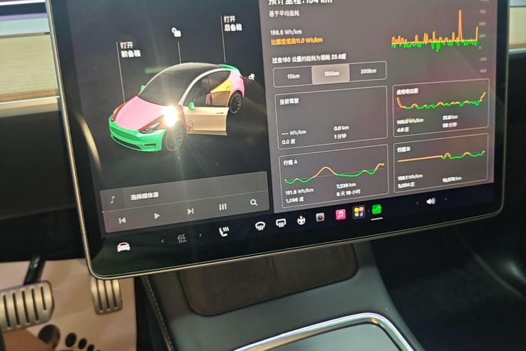 Tesla Model Y 2021 #13 Tesla Model Y 2021 car image #13