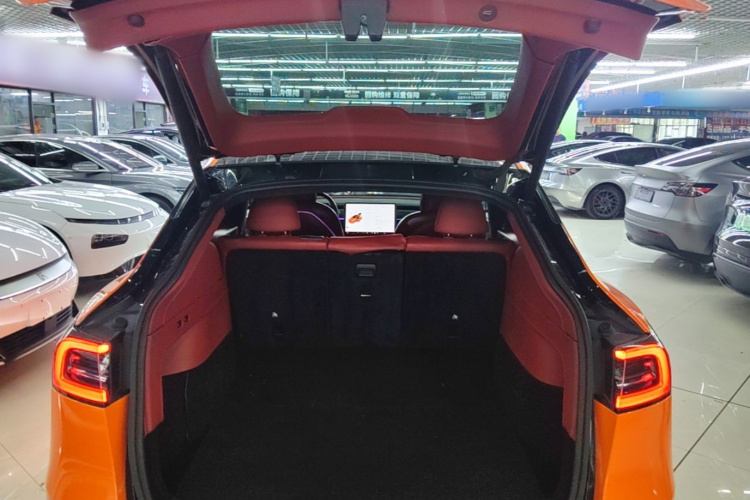Tesla Model Y 2021 car image #21