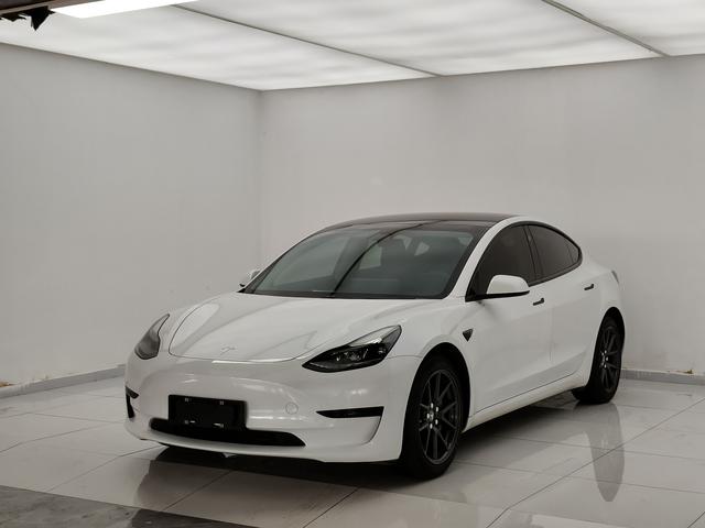 Tesla Model 3 2021 #18 Tesla Model 3 2021 car image #18