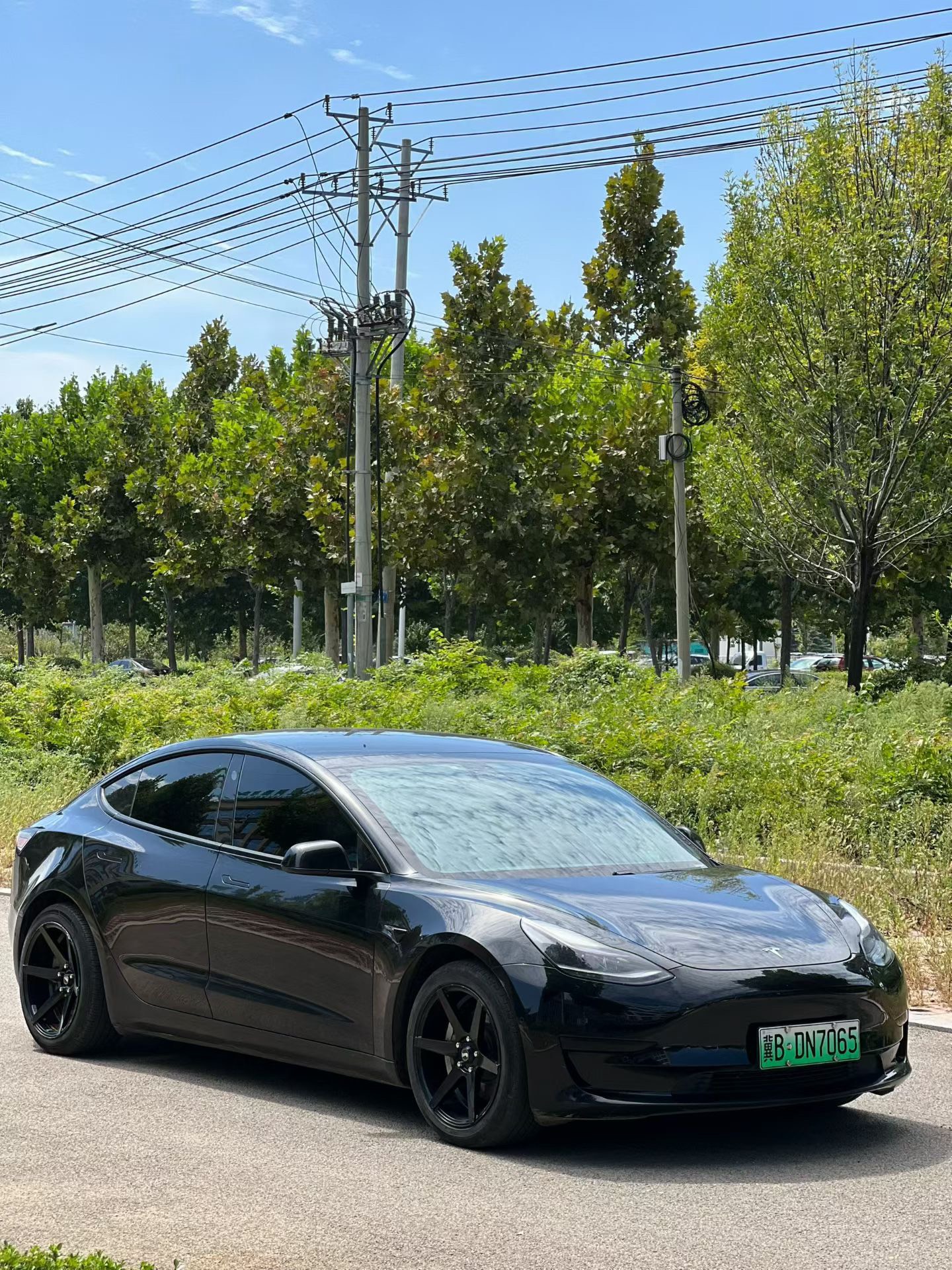 Tesla Model 3 2021 изображение автомобиля #2