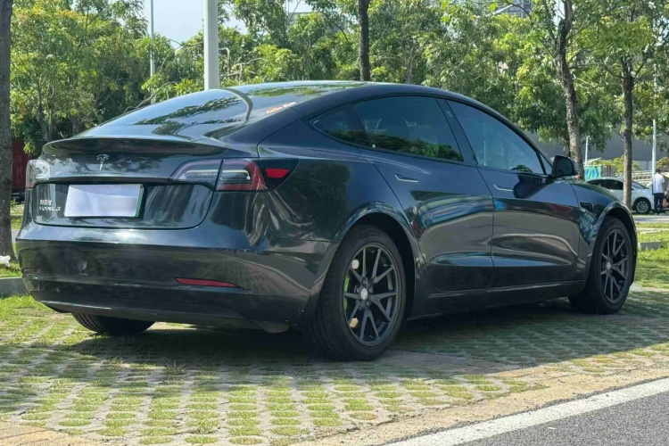 Tesla Model 3 2020 #5 Tesla Model 3 2020 car image #5