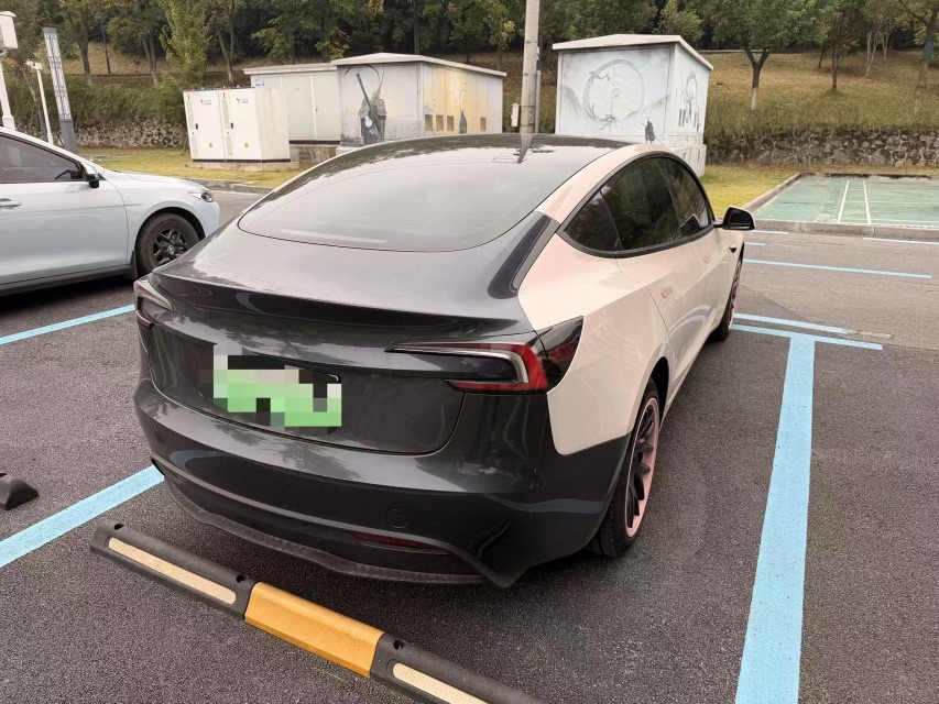 Tesla Model 3 2024 #7 Tesla Model 3 2024 car image #7