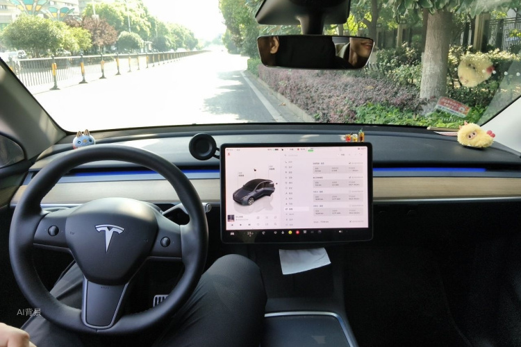 Tesla Model Y 2022 car image #11