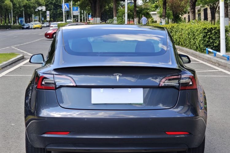 Tesla Model 3 2021 #6 Tesla Model 3 2021 car image #6