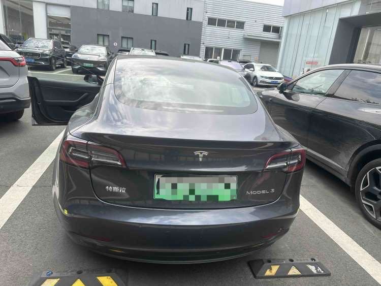 Tesla Model 3 2020 #3 Tesla Model 3 2020 car image #3