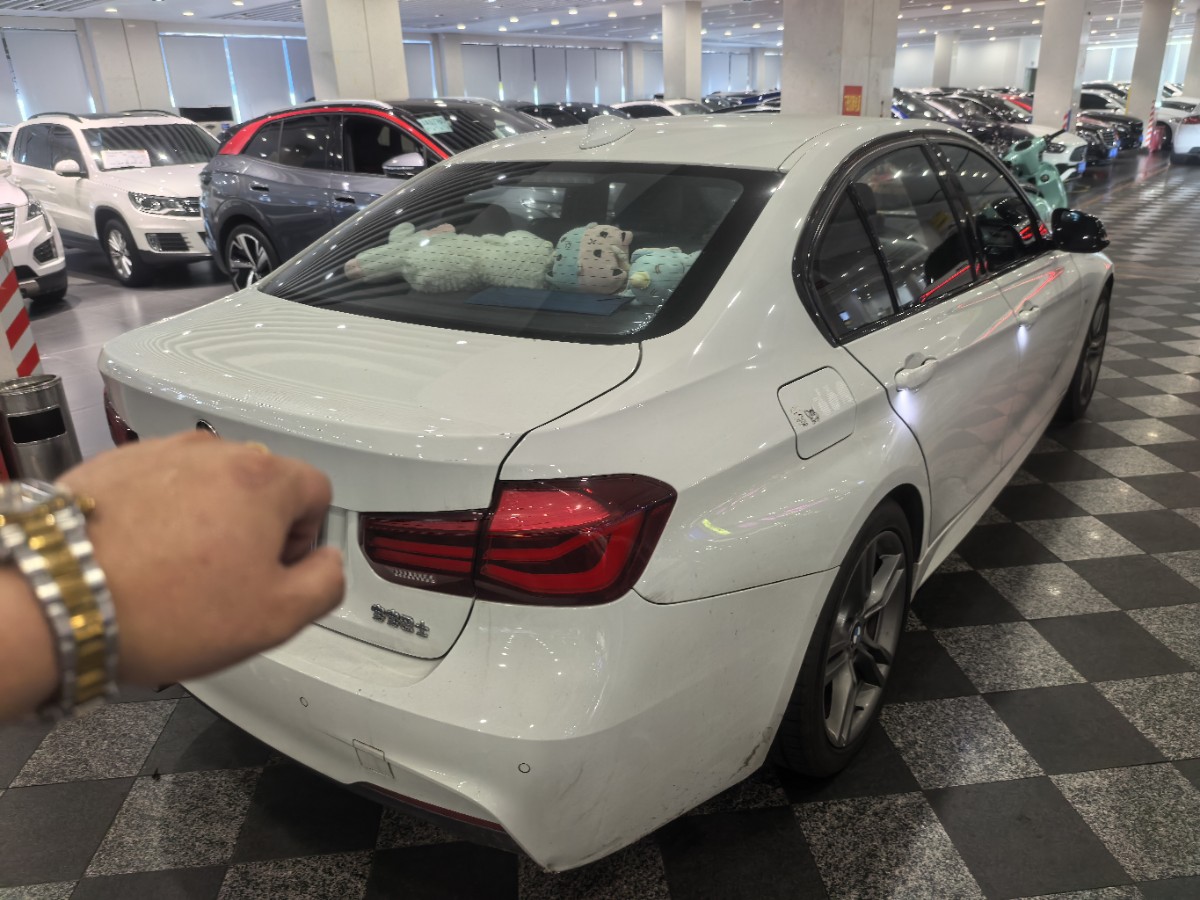 BMW 3 Series 2018 car image #6