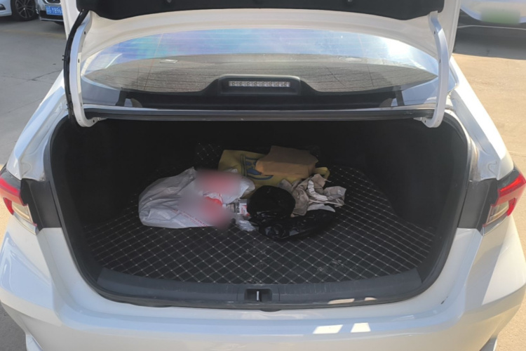 Toyota Corolla 2021 car image #21