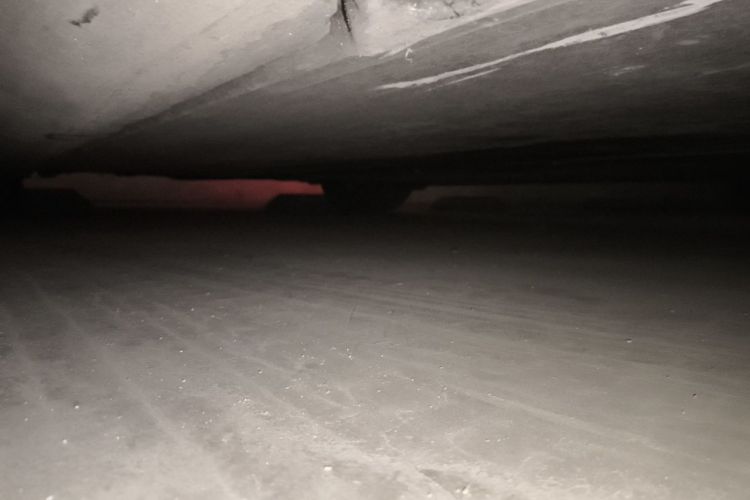 Tesla Model 3 2021 car image #23