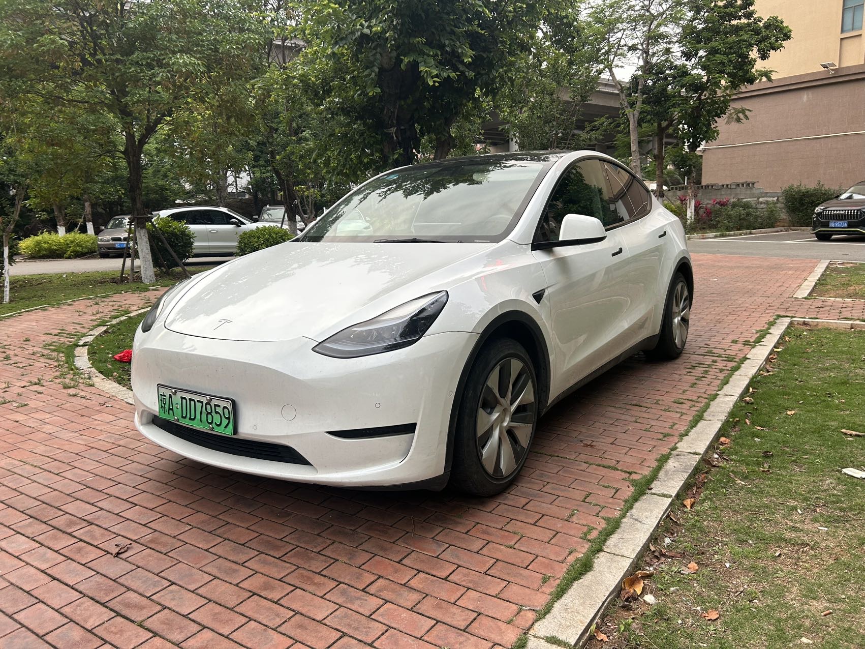 Tesla Model Y 2023 Tesla Model Y 2023 car image