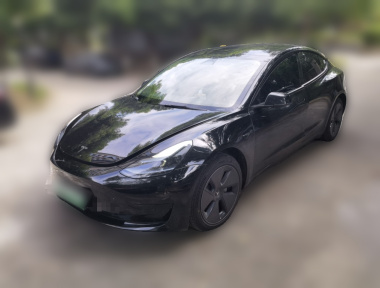 Tesla Model 3 2023 Tesla Model 3 2023 car image