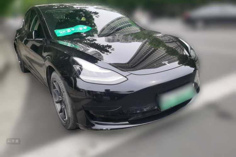 Tesla Model 3 2020 car image #4