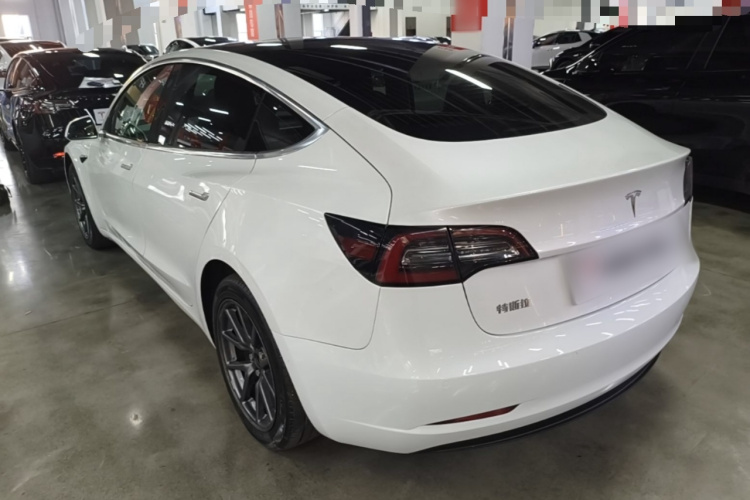 Tesla Model 3 2020 #7 Tesla Model 3 2020 صورة سيارة #7