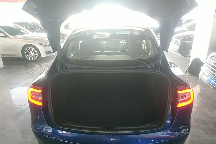 Tesla Model 3 2021 car image #19
