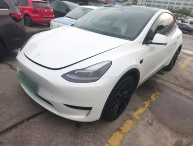 Tesla Model Y 2024 car image 