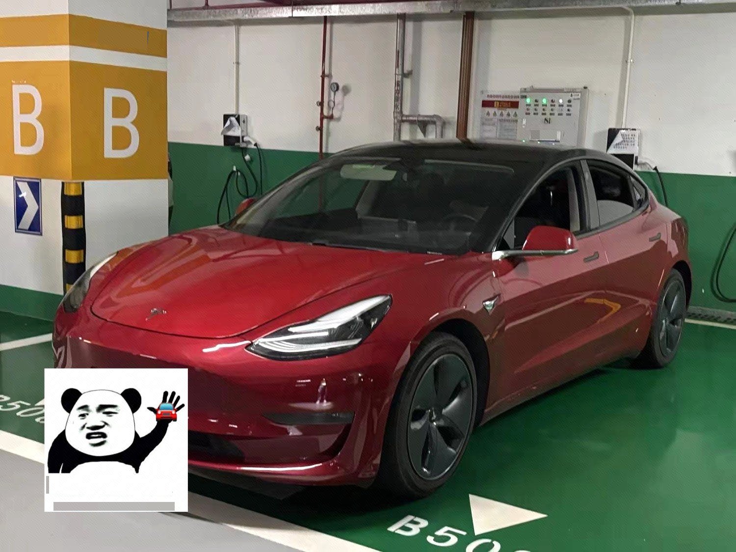 Tesla Model 3 (Imported) 2019 car image 
