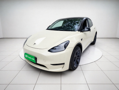 Tesla Model Y 2023 Tesla Model Y 2023 car image