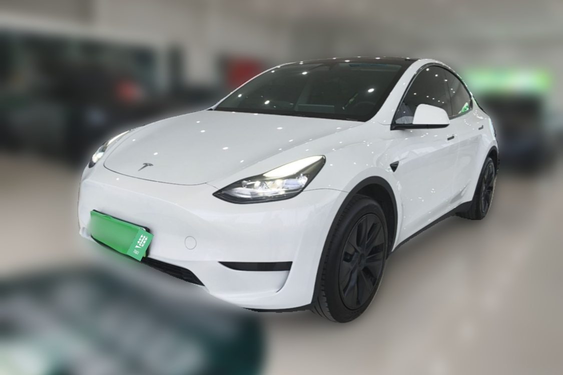 Tesla Model Y 2024 Tesla Model Y 2024 car image