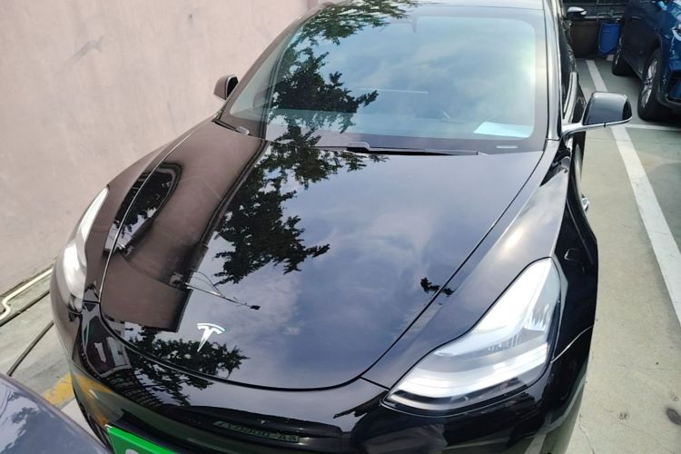 Tesla Model 3 2020 #3 Tesla Model 3 2020 car image #3
