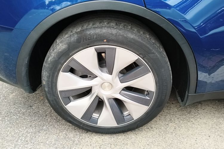 Tesla Model Y 2021 #10 Tesla Model Y 2021 car image #10