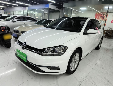 Volkswagen Golf 2019 Volkswagen Golf 2019 car image